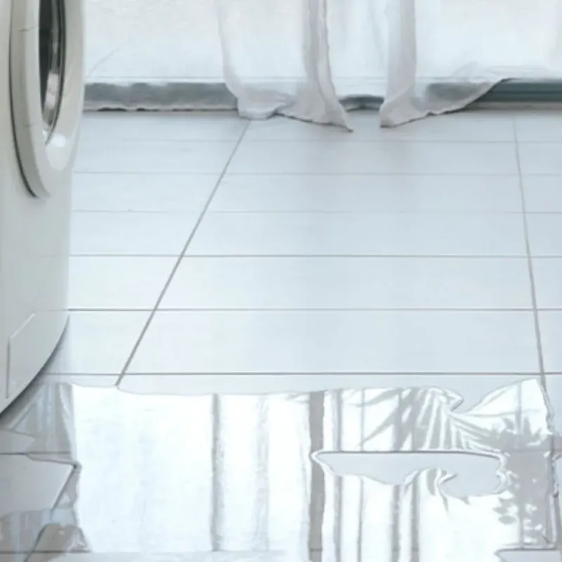 Appliance Leak Cleanup in Pigeon Forge, TN