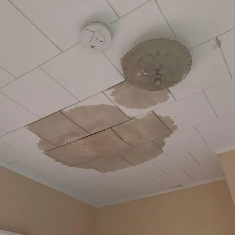 Ceiling Water Damage Repair in Pigeon Forge, TN