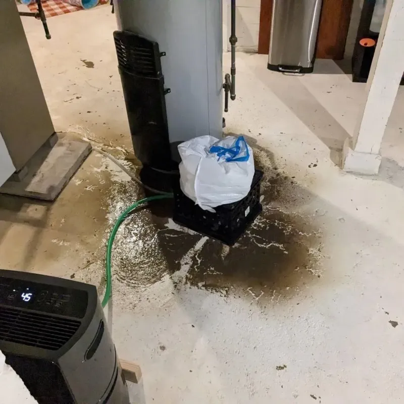 Sewage Backup Cleanup Service in Pigeon Forge, TN